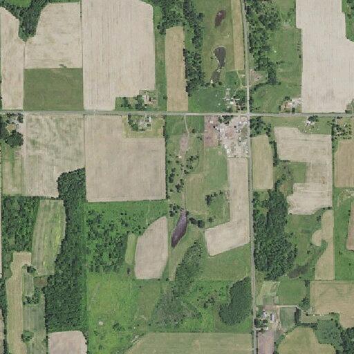 Suspicious person at rural property in Cushing