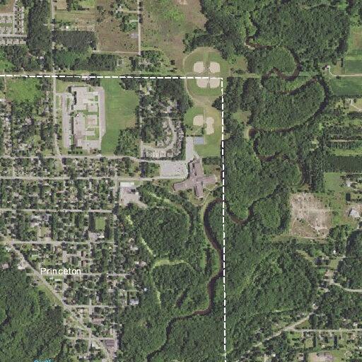 Person reported sick near 5th Avenue North, Princeton