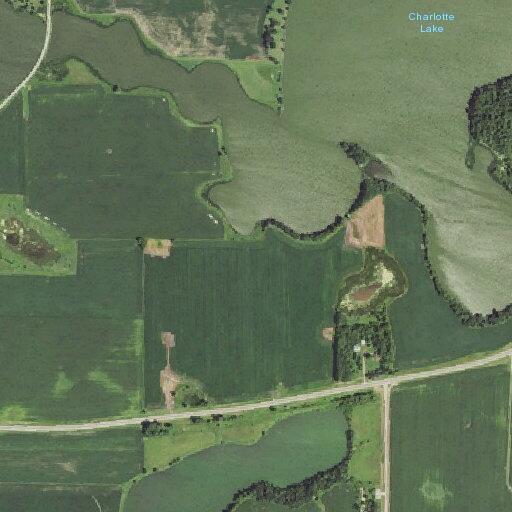 Tree blocking road near Minnesota 28