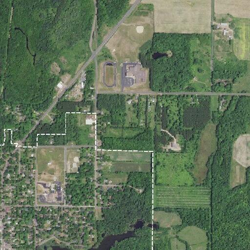 Injured bear reported near home in Frederic