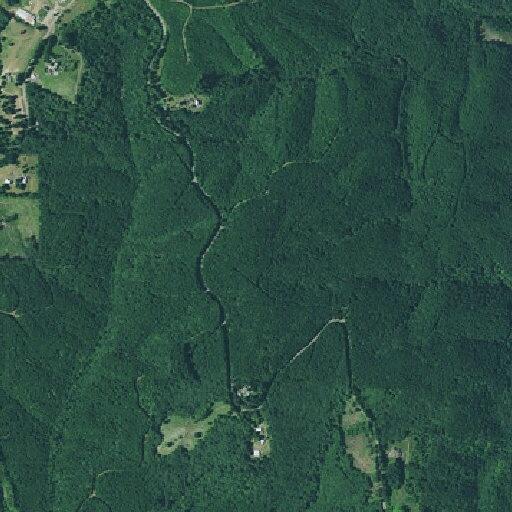 Tree fire on power lines on Northwest Skyline Boulevard