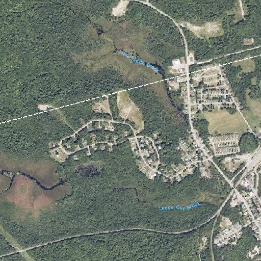 39-year-old woman with back pain in Millinocket