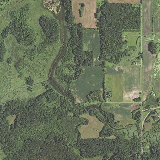 Person fell near 389th Avenue Northwest