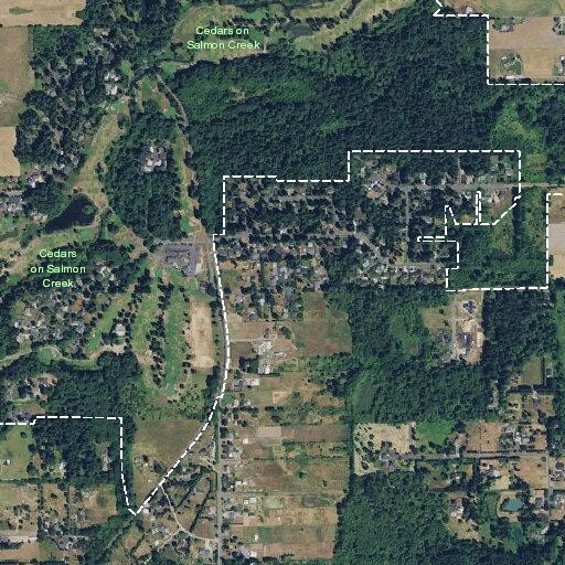 Person with chest pain near Brush Prairie