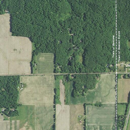 Multiple silent 911 calls from Bashaw Township home