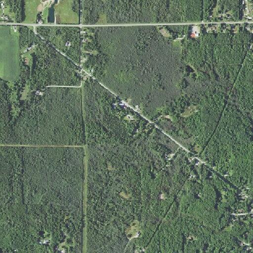 Car hits deer on Danforth Road in Escanaba