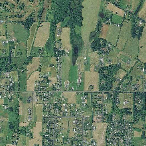 Person suffers back pain at Cascade View Drive