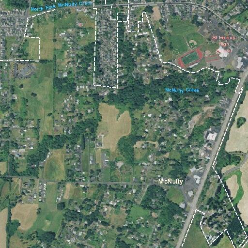 Person with heart problem near North Morse Road