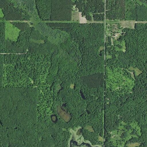 Female patient with non-bleeding foot injury near 5th St