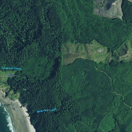 Dog trapped on cliff near Ecola State Park