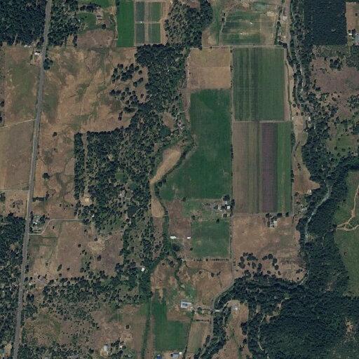 Illegal burn reported on Sunnyside Road