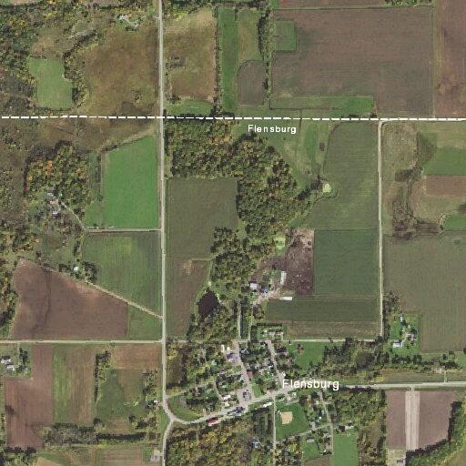 Loose dog chases man near church in Flensburg