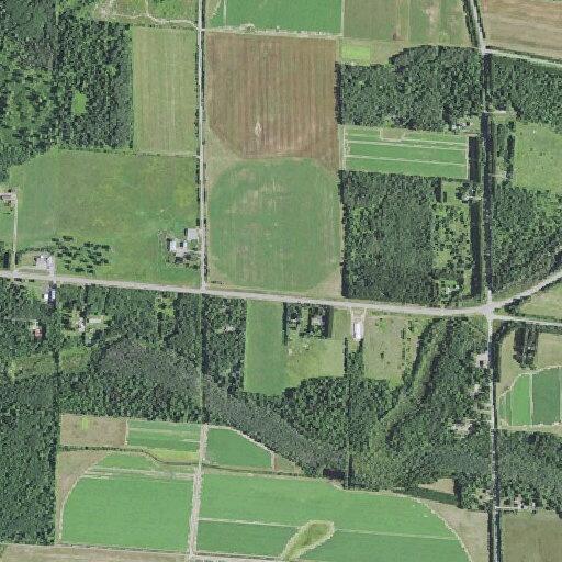 Female with dialysis issues near Eagle River
