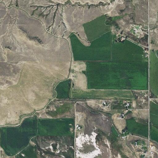 Grass fire from burn pit near tree line