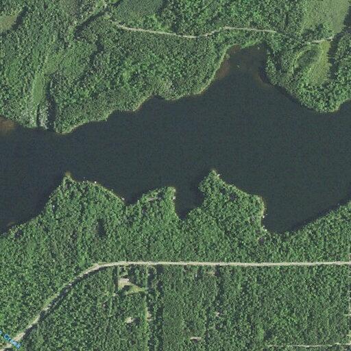 Woman having difficulty breathing near Plum Lake