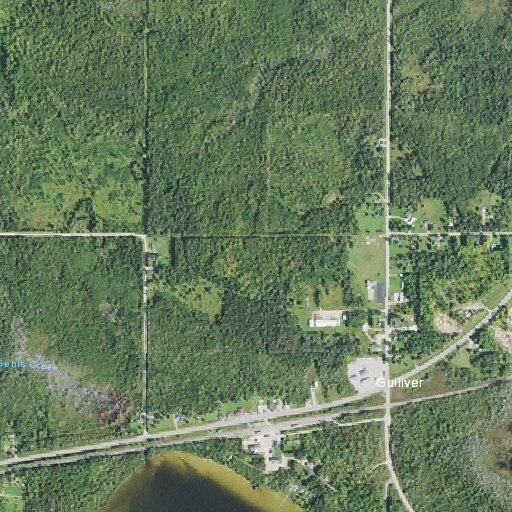 63-year-old woman with altered mental status in Gulliver