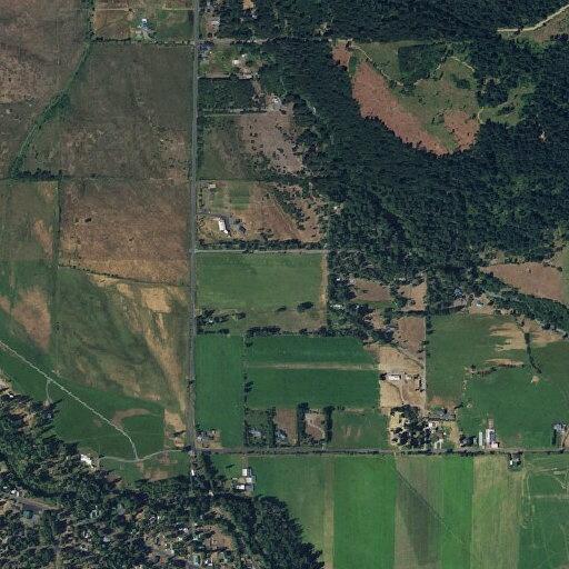 Fire response between Horse Camp and Pineside
