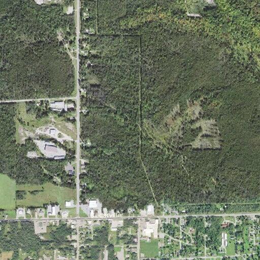 Domestic assault reported at Cedarville campground