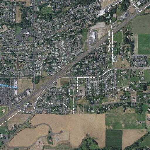 Elderly woman requested evaluation at home