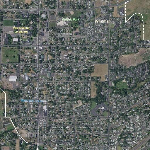 Elderly woman with abdominal and back pain at SE Cotter Pl