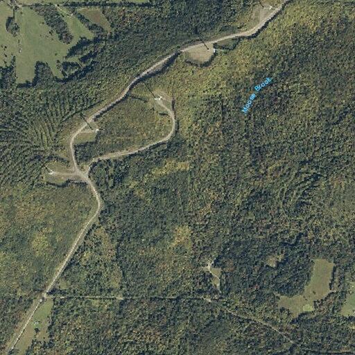 Forestry damage reported on Nelson Road