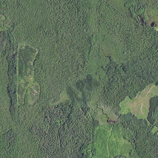 Small smoldering wildfire in Hiawatha National Forest