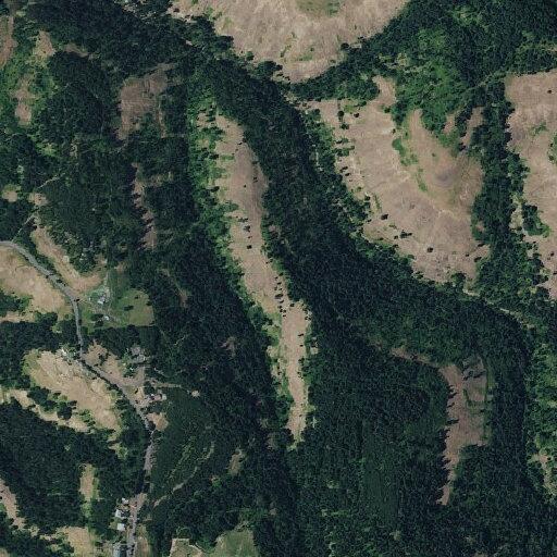 Small burn pile smoldering near Lewis Peak Road