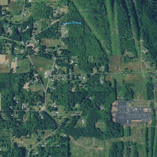 Person fell near Scott Road in Rainier