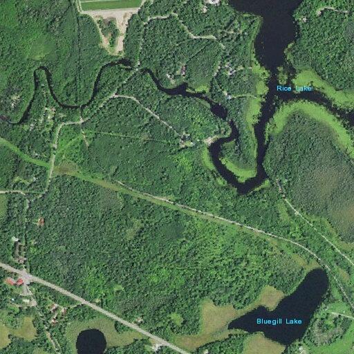 85-year-old female falls and may have seizure in Mercer