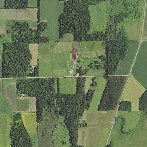 86-year-old male with stroke symptoms at County Rd 79