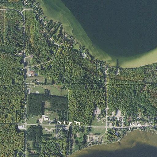 Two children bitten by dog in Portage Township