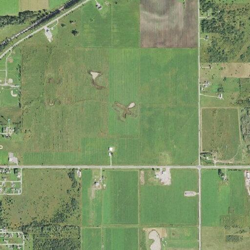 Cow loose on roadway near West M-48 business spur