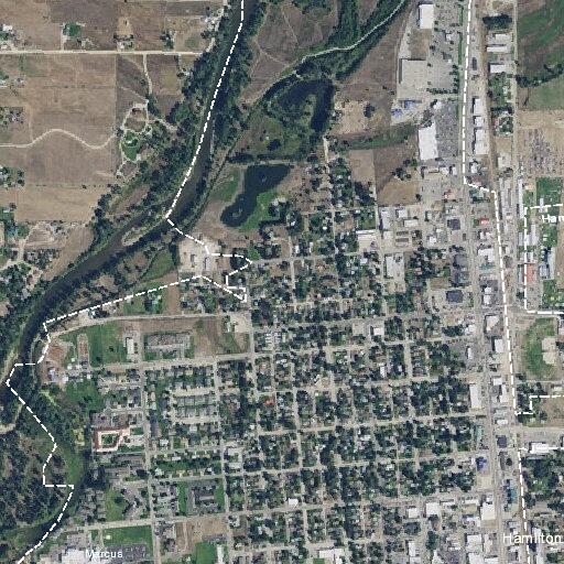 Two loose dogs reported near North 8th Street