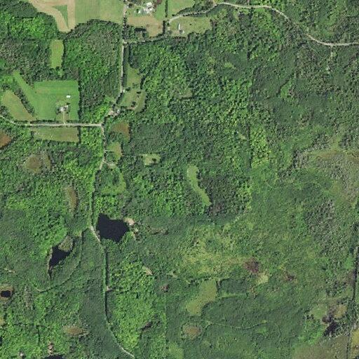 Accidental 911 pocket call in Humboldt Township