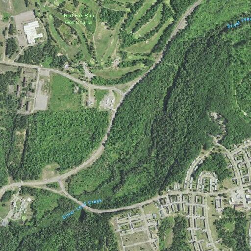 Loose dogs reportedly attack woman and her dog