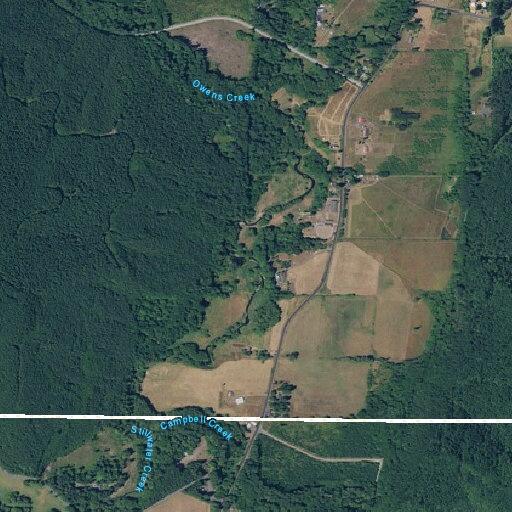 Person having allergic reaction on State Route 506