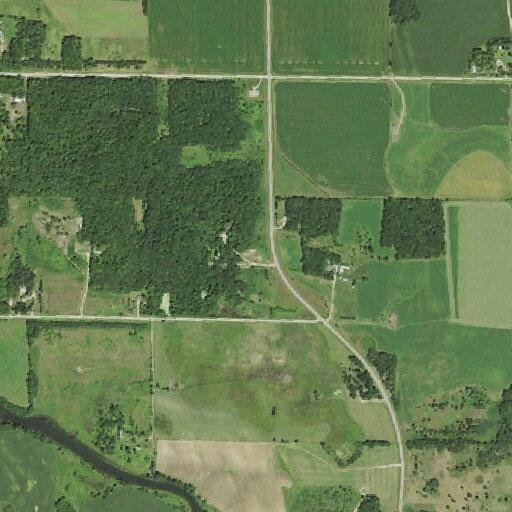 Loose animals reported in yard on 295th Street
