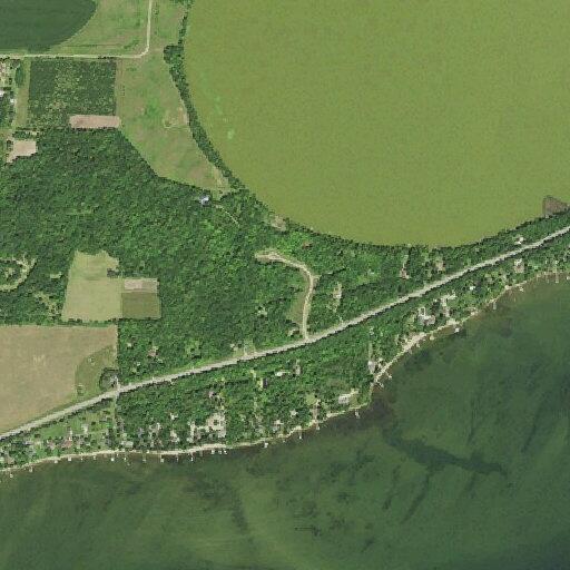Report of cattle in roadway near Otter Tail Lake