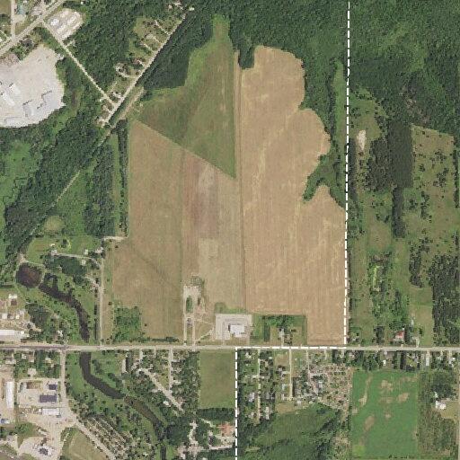 Male diabetic with blackened toe near Wadena