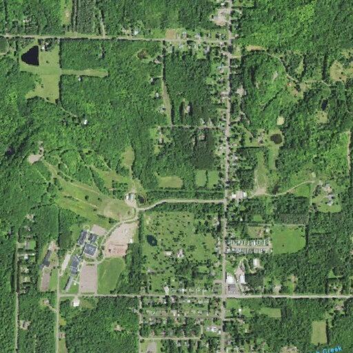 Elderly male with rotavirus near Jackson Road