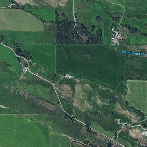 75-year-old woman reported deceased with DNR in Stevensville