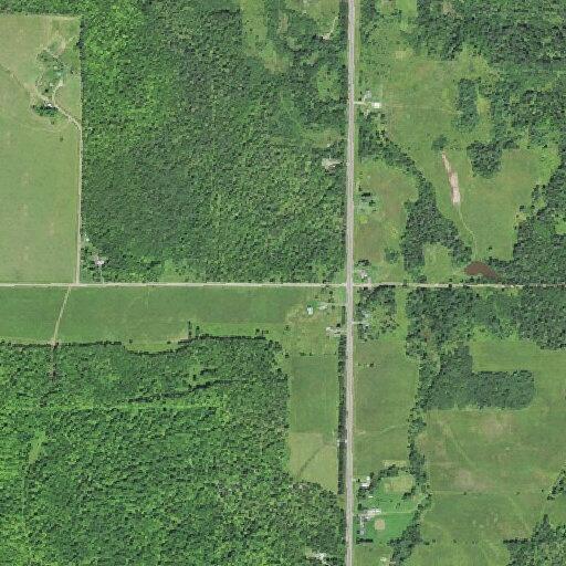 Woman experiencing pain near Bruce Crossing
