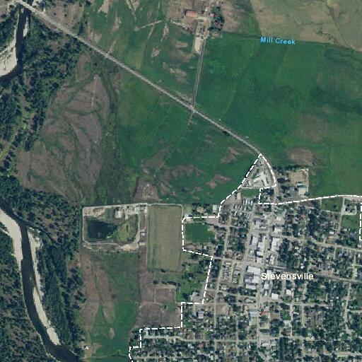 Burglary alarm at firearms business in Stevensville