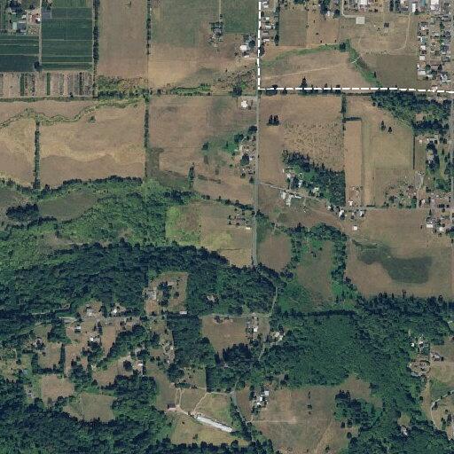 Person experiencing difficulty breathing in Mossyrock