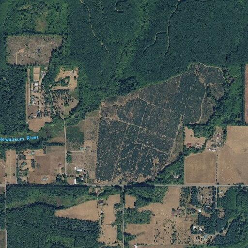 Man with head injury and behavioral changes in Onalaska