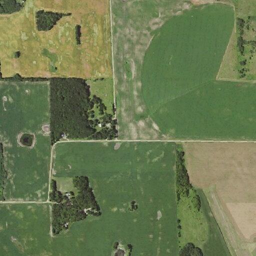 Female having a seizure near barn in Pelican Rapids