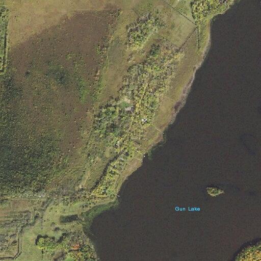Man receiving CPR after drowning in Gun Lake