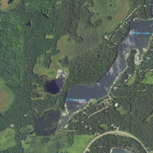 86-year-old woman falls and loses bowel control