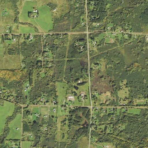 71-year-old woman fell and possibly broke bone