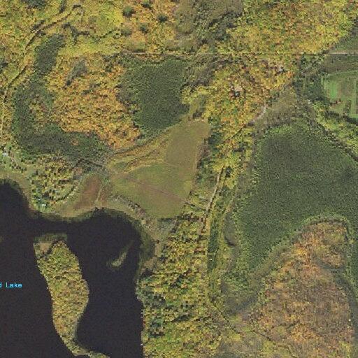 Elderly female falls and cannot be helped up near Tamarack